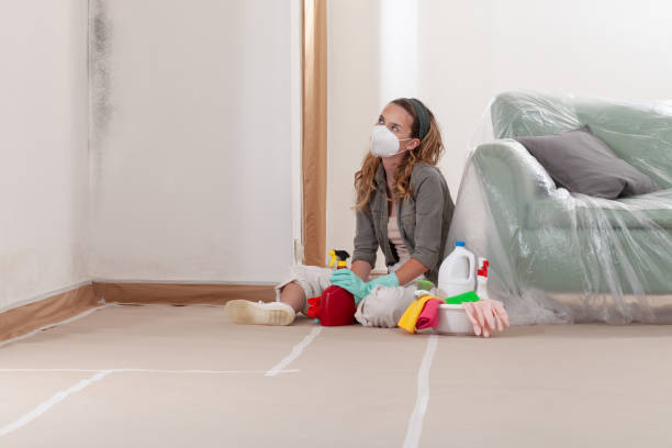 Reliable Commercial Mold Remediation contractor in Concord, MI by WQB Mold Removal